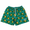 BARDOWN ADULT PINEAPPLE BATHING SUIT - GREEN -HockeyPro Hub BARDOWN MEN S PINEAPPLE BATHING SUIT GREEN